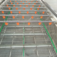 Volautomatische luchtbellen groente- en fruitwasser komkommerreiniging elektrische salade wasmachine