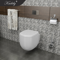 Inodoro de Pared con Cisterna de Marca Italiana