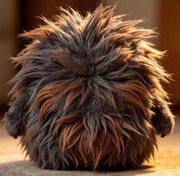 Bulk gepersonaliseerde pluche monstertjes, zacht knuffeldier, voordelige op maat gemaakte pluche levering met veiligheidsnormen