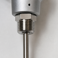 Termokopel Berulir Tipe K dengan Ulir NPT/G (1/4"-3/4"), 3-16mm Kustom, 0-1300 ° C, Tahan Air untuk Tungku, Kiln, Boiler