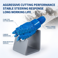 Foret Hawkeye Pilot Bit Eagle Claw de Drillsoltek pour machine de forage directionnel HDD