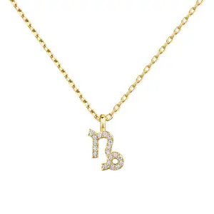 14K 금도금 CZ 점성술 목걸이 점성술 목걸이 | 여성을 위한 점성술 선물 | 조디악 목걸이