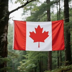 Высококачественные оптовые полиэстеровые флаги Канады, индивидуальные бело-красные флаги с двумя латунными кольцами - Product Image 6