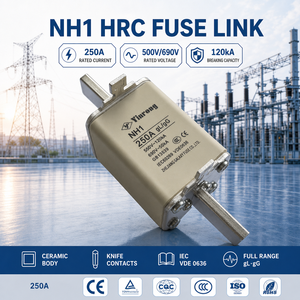 ฐานฟิวส์ NH1 สำหรับฟิวส์แบบหลอมได้ 250VDC 100A/125A/160A/200A/250A/300A/350A/400A - Product Image 1