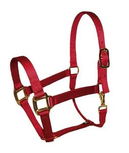 Cabestro Premium para Caballos, Ideal para el Cuidado, Transporte y Operaciones Diarias en Establos Ecuestres, Cómodo para el Uso Diario - Product Image 2