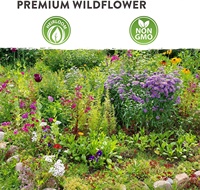 Mezcla Natural de 23 Variedades de Flores Silvestres Anuales 100% Sin OGM a Granel para Pájaros y Mariposas para Uso en Jardineras de Suelo y Macetas de Jardín