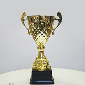 ถ้วยรางวัลถ้วยรางวัลสำหรับการแข่งขันกีฬาโรงเรียนถ้วยรางวัลโลหะถ้วยคริกเก็ตฐานดำคุณภาพ - Product Image 6