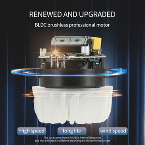 Pour les fabricants de nouveaux produits, vente directe, sèche-cheveux de salon haute puissance BLDC, séchage rapide, compact, souffleur haute vitesse 2000W-2400W - Product Image 5