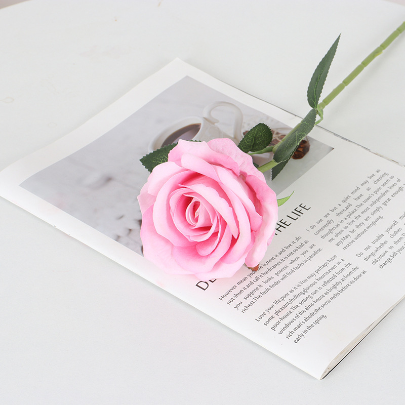 Rosa