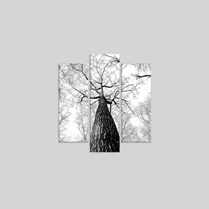 Forest <b>Wall</b> Hanging: Elegant Printed <b>Canvas</b> Art for Farmhouse Decor,SET OF 5 MIX <b>CANVAS</b> - Product Image 2