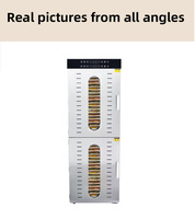 Professionele commerciële 220V/110V SUS304 roestvrijstalen dubbele deur 32-bakjes fruit- en groente-dehydrator