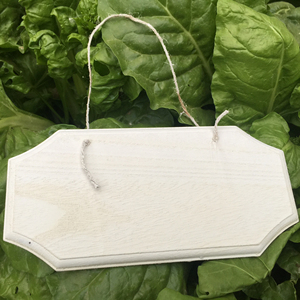 Rettangolo di <span class=keywords><strong>legno</strong></span> bianco fette di placca di <span class=keywords><strong>legno</strong></span> incompiuto appeso segno di <span class=keywords><strong>legno</strong></span> <span class=keywords><strong>con</strong></span> la corda per la scrittura di pittura pirografia artigianato - Product Image 6