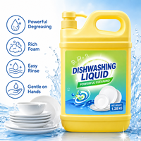 Liquide vaisselle jetable OEM écologique, antibactérien, multi-usages, sûr, parfum citron gingembre, mousse haute/basse