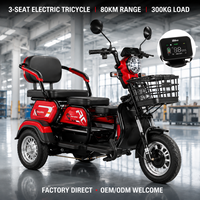 Tricycle électrique pour adultes, scooter à 3 roues, batterie au plomb-acide 60V 20Ah, écran LCD, pneus à vide 300-8, mobilité pour personnes âgées
