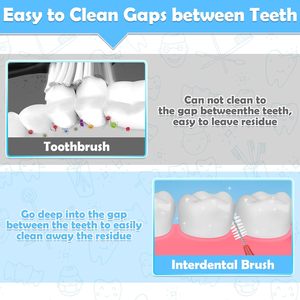 Brosse interdentaire orthodontique en gros sous marque privée, cure-dent en nylon Dupont, manche en plastique PP, réutilisable, antibactérien, pour adulte - Product Image 4