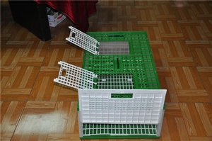 Gabbie per Allevamento Piccioni a Più Livelli, Gabbie per Uccelli a Forma di Castello, Gabbia di Trasporto in Plastica per Quaglie e Piccioni - Product Image 6