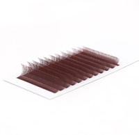 Extensions de cils Private Label Corée PBT couleur bordeaux, courbures U, L, B, C, CC, D, L, M, rouge vin, étroites, W Speedy Lashes, longueurs mixtes 7mm-15mm