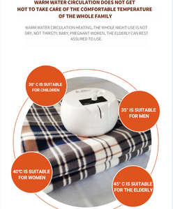 Couvertures électriques imperméables à succès avec élément chauffant PTC, protection contre la surchauffe, thermostat réglable, éclairage pour voiture, camping-car et extérieur - Product Image 5