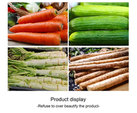 Machine à éplucher les carottes industrielle Dezoton 500W, éplucheur de légumes automatique avec lame tranchante pour la transformation alimentaire commerciale