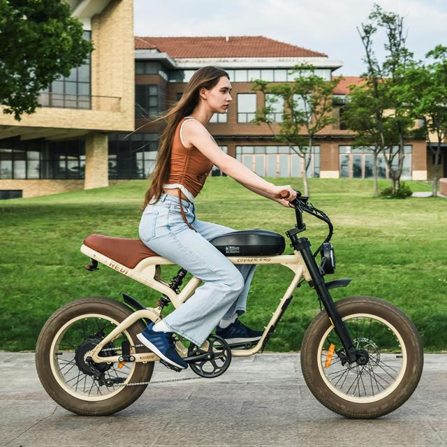OEM Factory Front & Rear Full Suspension 20*4.0 Inch Fat Tire Off Road Vintage Ebike Big Power Mountain Electric Bike for Adults