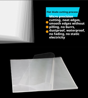 Protector de Discos de Vinilo Transparente de 12 Pulgadas, Plástico PP PET, Antipolvo, Libre de Ácidos, Antiestático, Funda Interior para LP