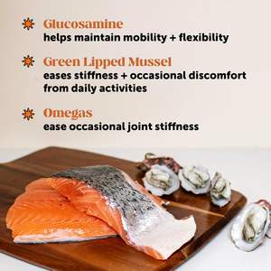 Suplementos nutricionales de cadera y articulaciones para mascotas en OEM/ODM con glucosamina y mejillón de labios verdes para mejorar la salud de las articulaciones de los masticables rellenos para gatos - Product Image 2