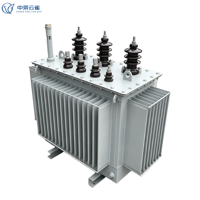 Transformateur immergé dans l'huile 11kV/400V en cuivre série S-M pour les nouvelles communautés et le développement immatériel