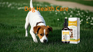 Suplemen hewan peliharaan organik dan vitamin pengobatan ragi alami tetes untuk anjing telinga anjing pengobatan infeksi Suplemen Herbal - Product Image 5