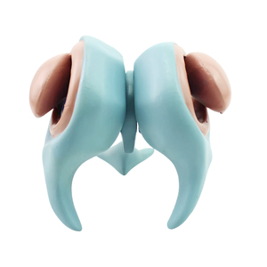 Modello Anatomico Ingrandito del Nucleo Basale Cerebrale, Ventricoli, Talamo, Sistema Nervoso Centrale, Amigdalia - Product Image 4