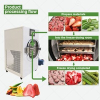 Lyophilisateur Technologie Conception compacte intégrée Lyophilisateur de laboratoire Machine de séchage sous vide pour bonbons