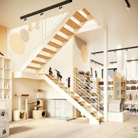 Aménagement intérieur de magasin d'articles pour animaux de compagnie, mobilier de présentation sur mesure pour animalerie, présentoir pour aliments pour chats, rénovation de magasin