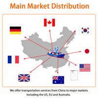 Service de livraison express rapide Chine-USA DDP porte-à-porte avec suivi des colis