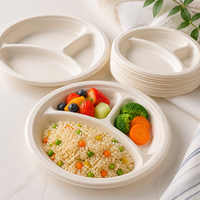 Assiette Compostable Populaire à 3 Compartiments en Bagasse de Canne à Sucre pour Repas Scolaires et Restauration Rapide