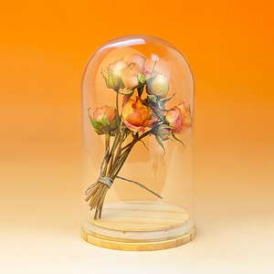 6*14Cm 12*16Cm Tùy Chỉnh Bảo Quản Rêu Trong <span class=keywords><strong>Glass</strong></span> <span class=keywords><strong>Dome</strong></span> Thực Nhà Máy Hiển Thị Cloche <span class=keywords><strong>Dome</strong></span> Cho Đám Cưới Trang Trí Nội Thất Valentine Quà Tặng - Product Image 4