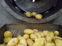 Hotsale Commerciële Fruit- en Groente Wortelstock Schilmachine Continue Schuurrol Hoge Kwaliteit SUS304 RVS 380V