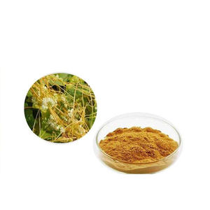 Grosir harga terbaik 100% ekstrak <span class=keywords><strong>Dodder</strong></span> alami bubuk biji Semen cuscutee - Product Image 6