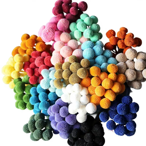 Vente flash : Matériel de bricolage pour fleurs, Craspedia préservée, fleur naturelle réelle, Billy Buttons préservé - Product Image 6