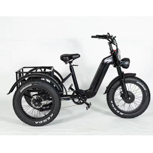 Triciclo Eléctrico de 750W con Motor, 48V, Neumáticos Anchos, para Adultos, con Cesta - Product Image 2
