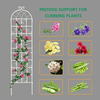 Support de fleurs de jardin thermolaqué avec cadre métallique à double arche, arche de treillis écologique, support pour tongs