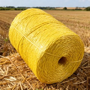 Nhà Máy Giá 2Mm 6Mm Nhựa <span class=keywords><strong>Hay</strong></span> Baler Dây PP Phim Chủ Đề Xoắn <span class=keywords><strong>Polypropylene</strong></span> PP Chia Phim Dây Sợi Dây Thừng - Product Image 4