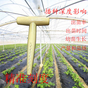 Transplanteur en forme de T Haihua avec manche en bois, mesure précise de la profondeur, outil de plantation de jardin - Product Image 1