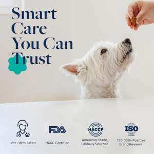 Pasta Energética y Revitalizante para Perros, Mejora la Resistencia y la Salud General de los Perros - Product Image 5