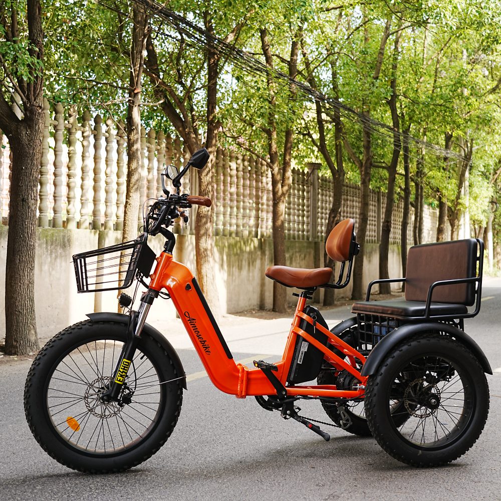 Speed Adult Trikes Durable and Versatile Bicycles