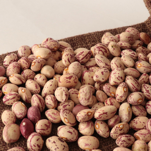 Nihewan, frijoles de riñón moteados ligeros de forma redonda china, frijoles de azúcar, frijoles pintos - Product Image 4