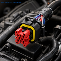 Connecteur moulé à 8 trous Lanshuo 776286-1 pour l'automobile domestique, étanche IP67, 17A 250V, pas de 4,0 mm, fiche en laiton étamé