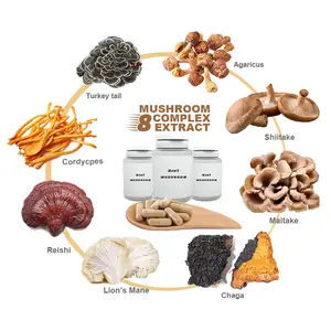 Extracto 8 en 1 De Seta mixta orgánica, polvo de limas, Reishi, Cordyceps, Chaga, Shiitake, Maitake