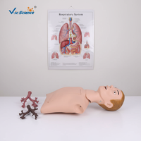 Modèle anatomique d'entraînement à l'endoscopie bronchique, mannequin pour école de médecine, matériau PVC, V-IC SCIENCE