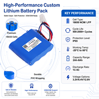 Paket Baterai Lithium Ion Kustom 6.4V 4Ah 25.6Wh Side-by-side dengan BMS untuk Kamera Keamanan, Perangkat Medis, Custom OEM ODM
