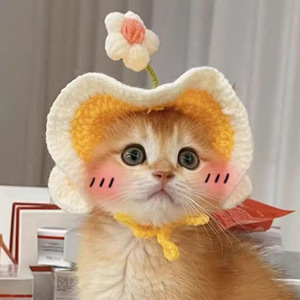 Gorro de punto de rana de dibujos animados para gatos y perros, accesorio de cabeza para mascotas, disfraz de primavera y verano, para una máxima comodidad y estilo. - Product Image 3