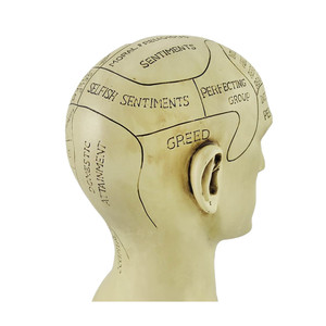 Statua in Resina di <span class=keywords><strong>Testa</strong></span> Vittoriana per Frenologia, Effetto Spaventoso - Product Image 2